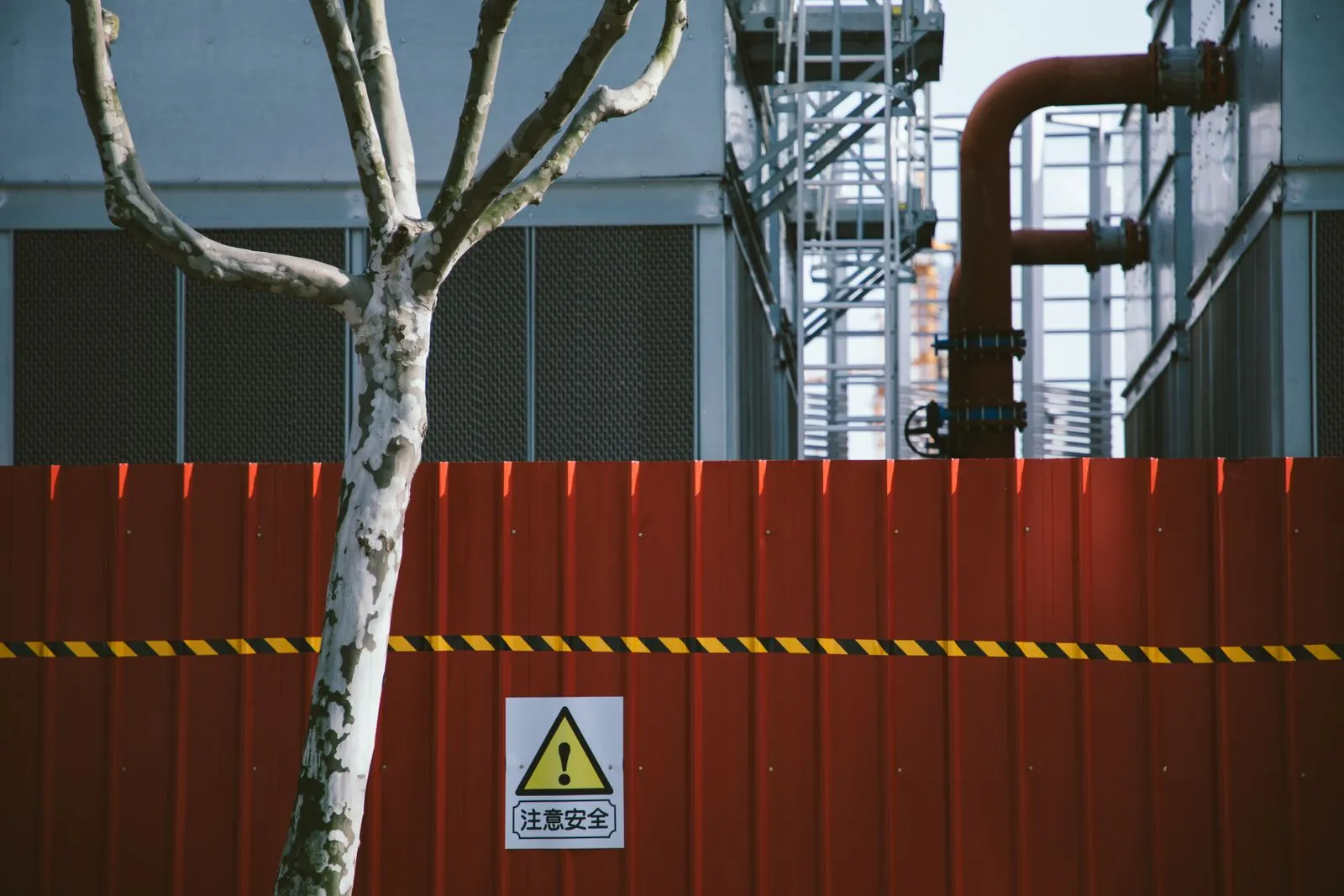 Can a Tree Be Preserved During Construction?